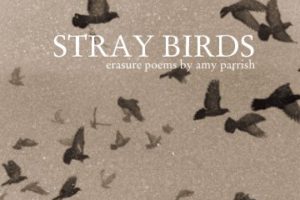 Erasure Poetry – Stray Birds