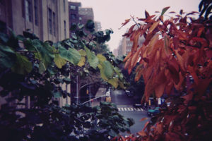 Autumn in New York